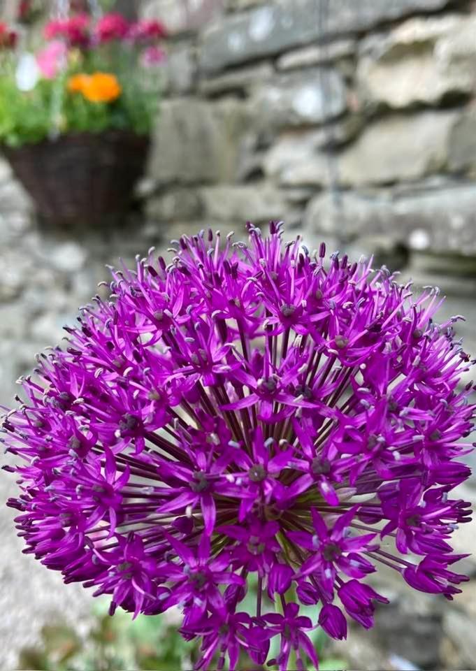Crookabeck B&B Patterdale Esterno foto