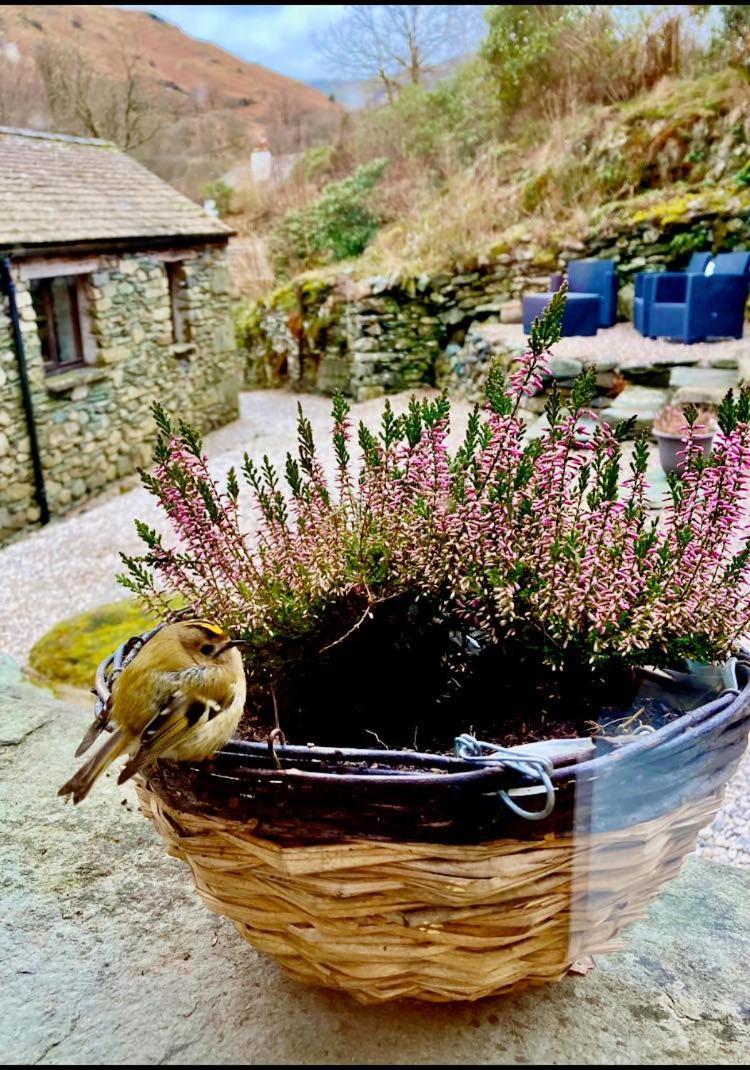 Crookabeck B&B Patterdale Esterno foto
